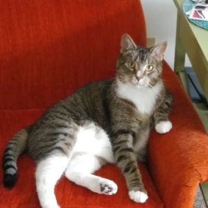 Meet your Posher, Nancy